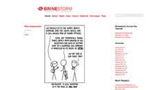 Desktop Screenshot of brinestorm.com